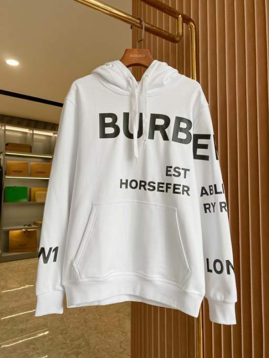 Picture of Burberry Hoodies _SKUBurberryS-2XLaztx86091838